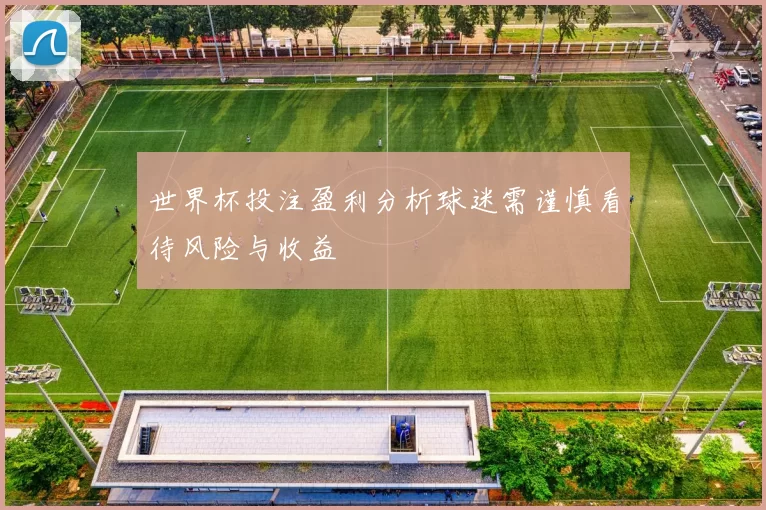 世界杯投注盈利分析球迷需谨慎看待风险与收益