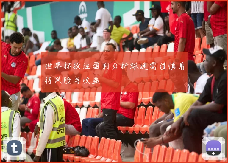 世界杯投注盈利分析球迷需谨慎看待风险与收益