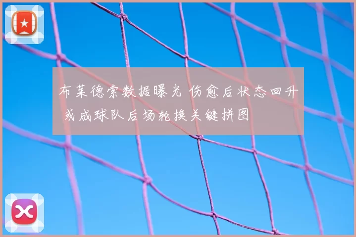 布莱德索数据曝光 伤愈后状态回升 或成球队后场轮换关键拼图