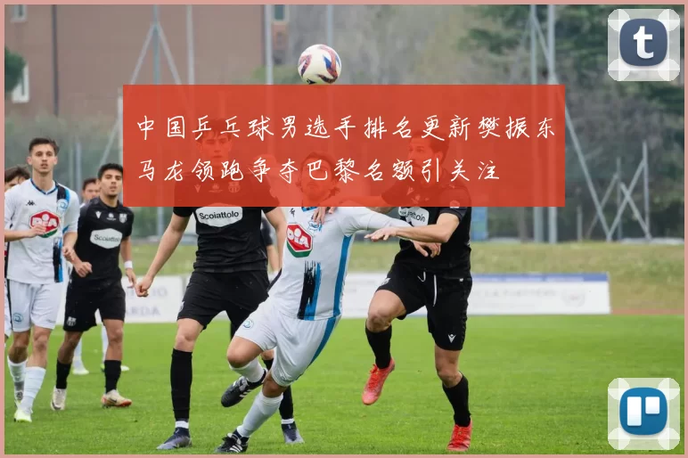 中国乒乓球男选手排名更新樊振东马龙领跑争夺巴黎名额引关注