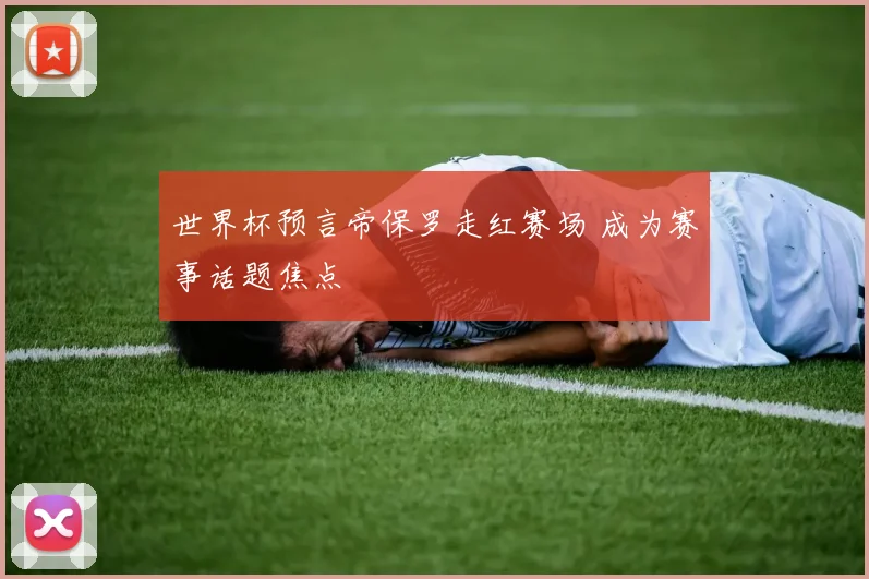 世界杯预言帝保罗走红赛场 成为赛事话题焦点