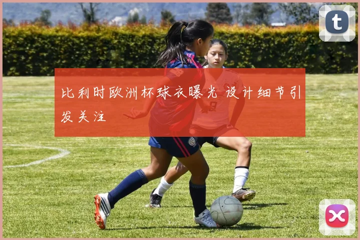 比利时欧洲杯球衣曝光 设计细节引发关注