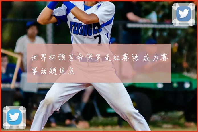 世界杯预言帝保罗走红赛场 成为赛事话题焦点